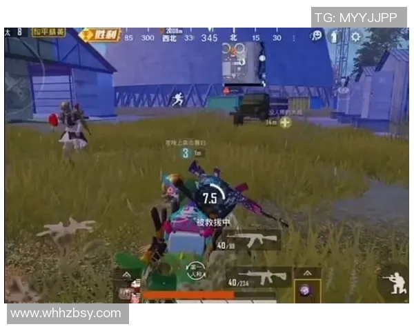 和平精英巨献：深入解析LNG战队的实力与战术魅力